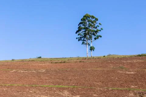 Farming Fields Hillside Landscape Stock Photos
