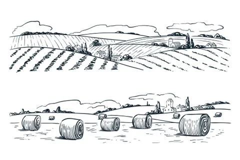 Farming fields landscape, vector sketch illustration. Agriculture and harvest Stock Illustration