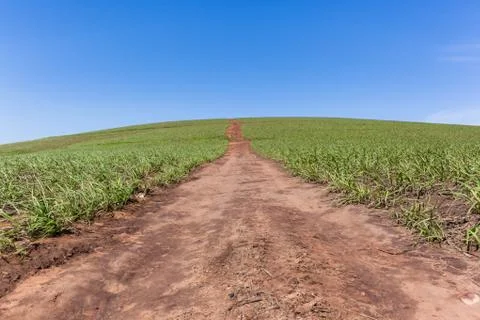 Farming Fire Break Hillside Landscape Stock Photos