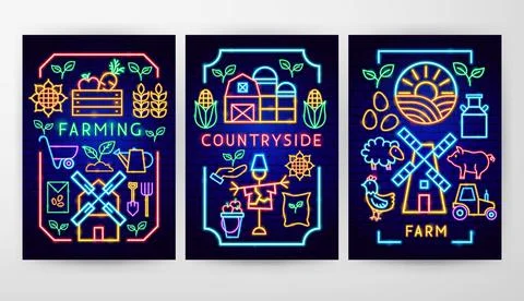 Farming Flyer Concepts Stock Illustration