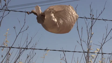 Farming Stock Footage 39419597