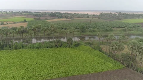 Farming Stock-Footage 134984678