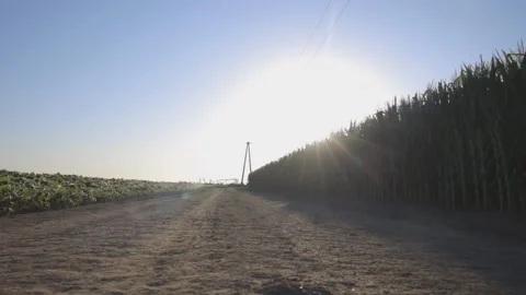 FARMING Video stock 138404433