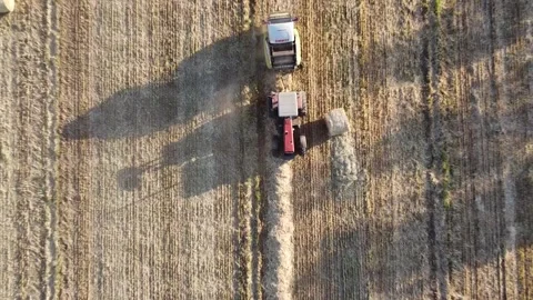 Farming Video stock 144071691