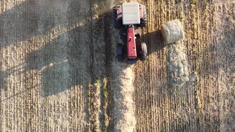 Farming Video stock 144072026