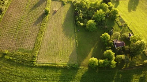 Farming Stock Footage 219754945