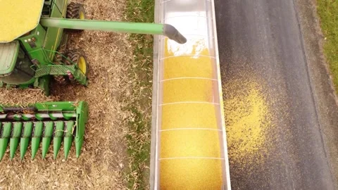 Farming Stock Footage 264368250