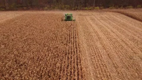 Farming Stock Footage 264368729