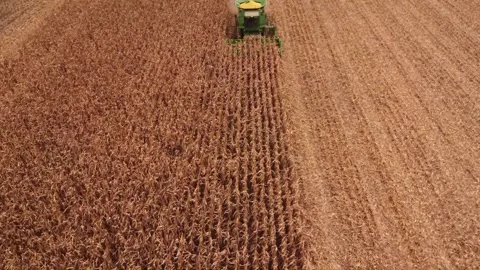 Farming Stock Footage 264369470
