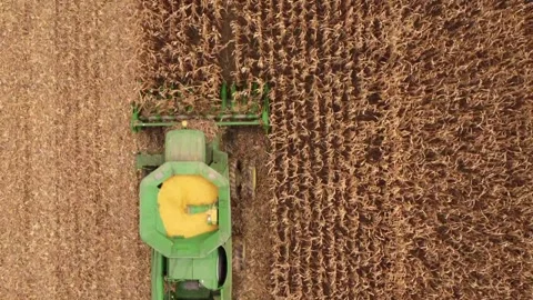 Farming Stock Footage 264371508