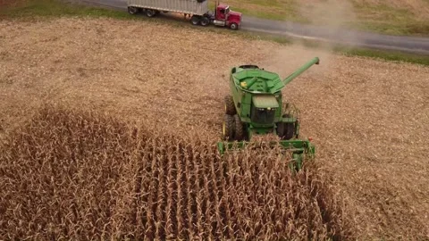 Farming Stock Footage 264371991