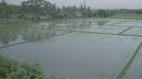 Farming Stock Footage 300333956
