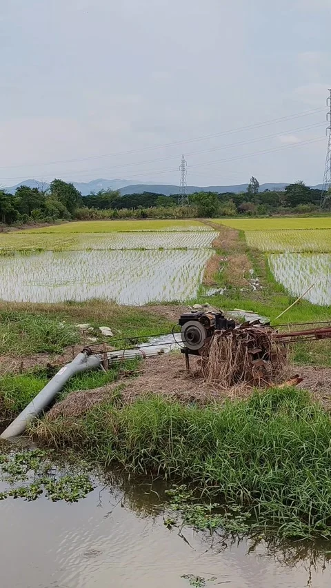 Farming Vídeo Stock 334699927
