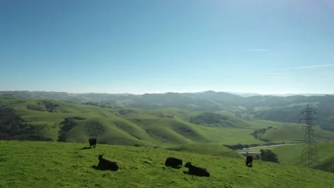 Farming on the grid Stock-Footage 171414013