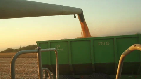 Farming Harvester Combine Pouring Corn into Truck Agriculture Stock Footage 29468333