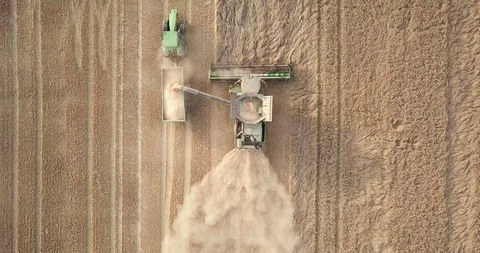 Farming, harvesting, crops Stock Footage 89848169
