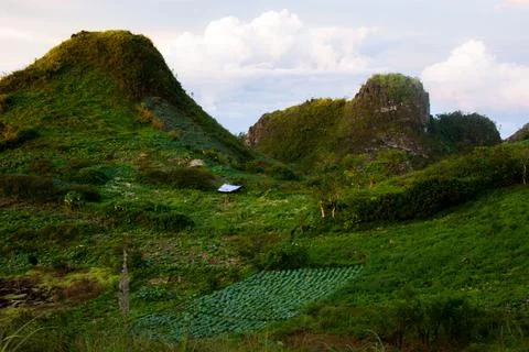 Farming at the hill 写真素材