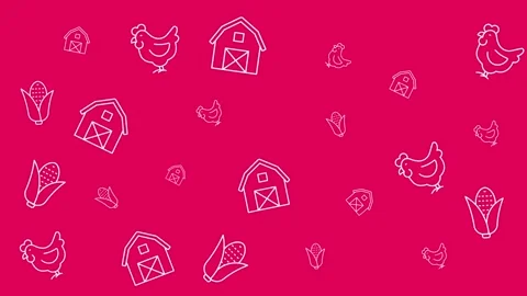 Farming icons pattern with chicken barn and corn on pink background Stock Footage 344875516