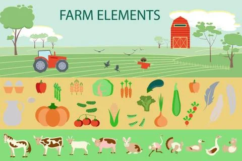 Farming infographic elements Stock Illustration