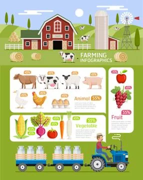 Farming infographic elements template. Vector illustration. Stock Illustration