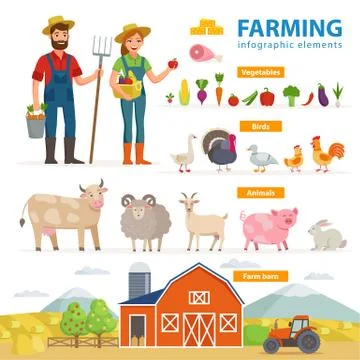 Farming infographic elements. Two farmers - man and woman, farm animals Stock Illustration