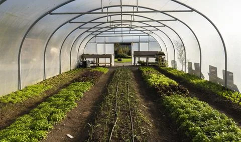 Farming in Ireland Stockfoto's