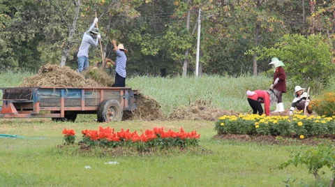 Farming in the Lakes chapter Thailand.2 Stock Footage 44935613