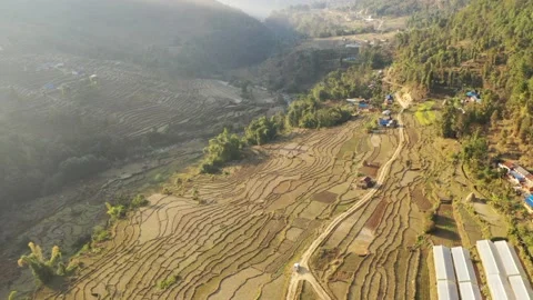 Farming land. Stockbeeldmateriaal 170487905