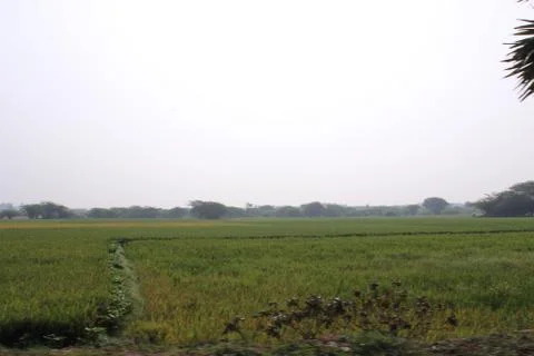 Farming lands and field with a pathway for humans to walk Stock Photos