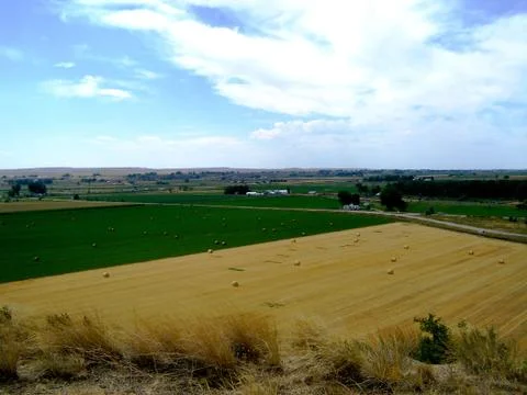 Farming landscape 스톡 사진