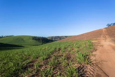 Farming Landscape Stock Photos