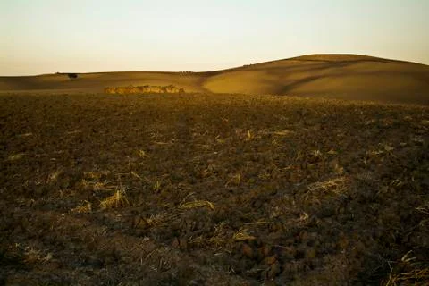 Farming landscape, plowed fields, Apulia, Italy Foto stock