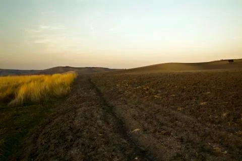 Farming landscape, plowed fields, Apulia, Italy Foto stock