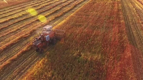 Farming: a large plow moves along the field and plows the field Stock-Footage 80903461