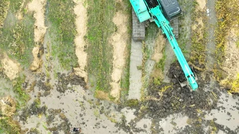 A farming machine actively working the rice field. Stock Footage 306831901