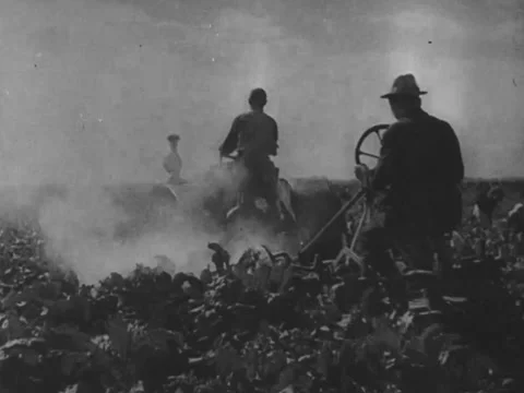 Farming machine through fields Video stock 229011736