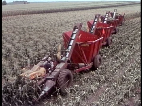 Farming machines are shown harvesting corn and peas in 1950s California. Stock Footage 75271107