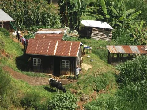 Farming main activity in the slopes of my Kenya Stock Photos