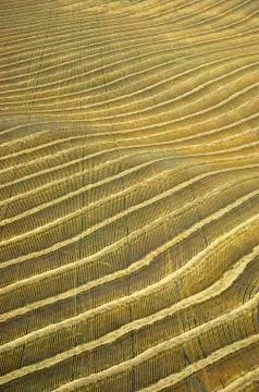 Farming in Manitoba, Canada. Stock Photos