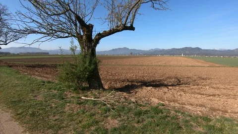 Farming meadow grass field in spring season with tress in foreground Stock Footage 128630920