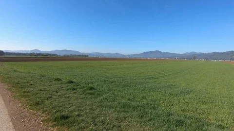 Farming meadow grass field in spring season. In background small town Stock Footage 128631015