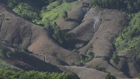 Farming on the mountain Stock Footage 130885484