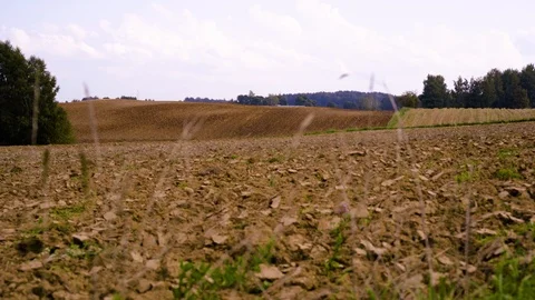Farming natural fields Video stock 94643958