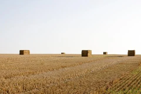 Farming Stock Photos