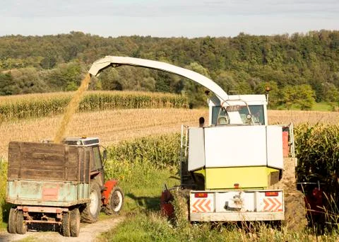 Farming Stock Photos