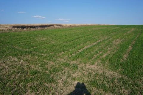 Farming Stock Photos