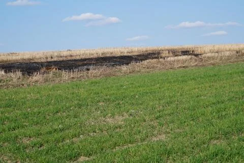 Farming Stock Photos