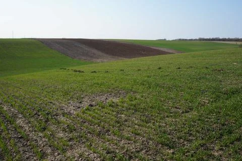Farming Stock Photos