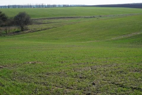 Farming Stock Photos