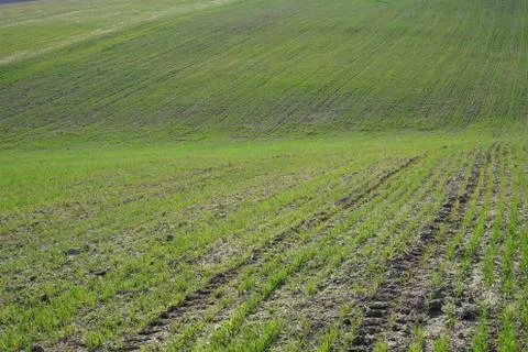Farming Stock Photos